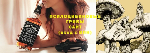 спайс Алексеевка