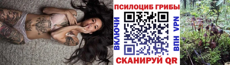 Псилоцибиновые грибы Cubensis  Красково 